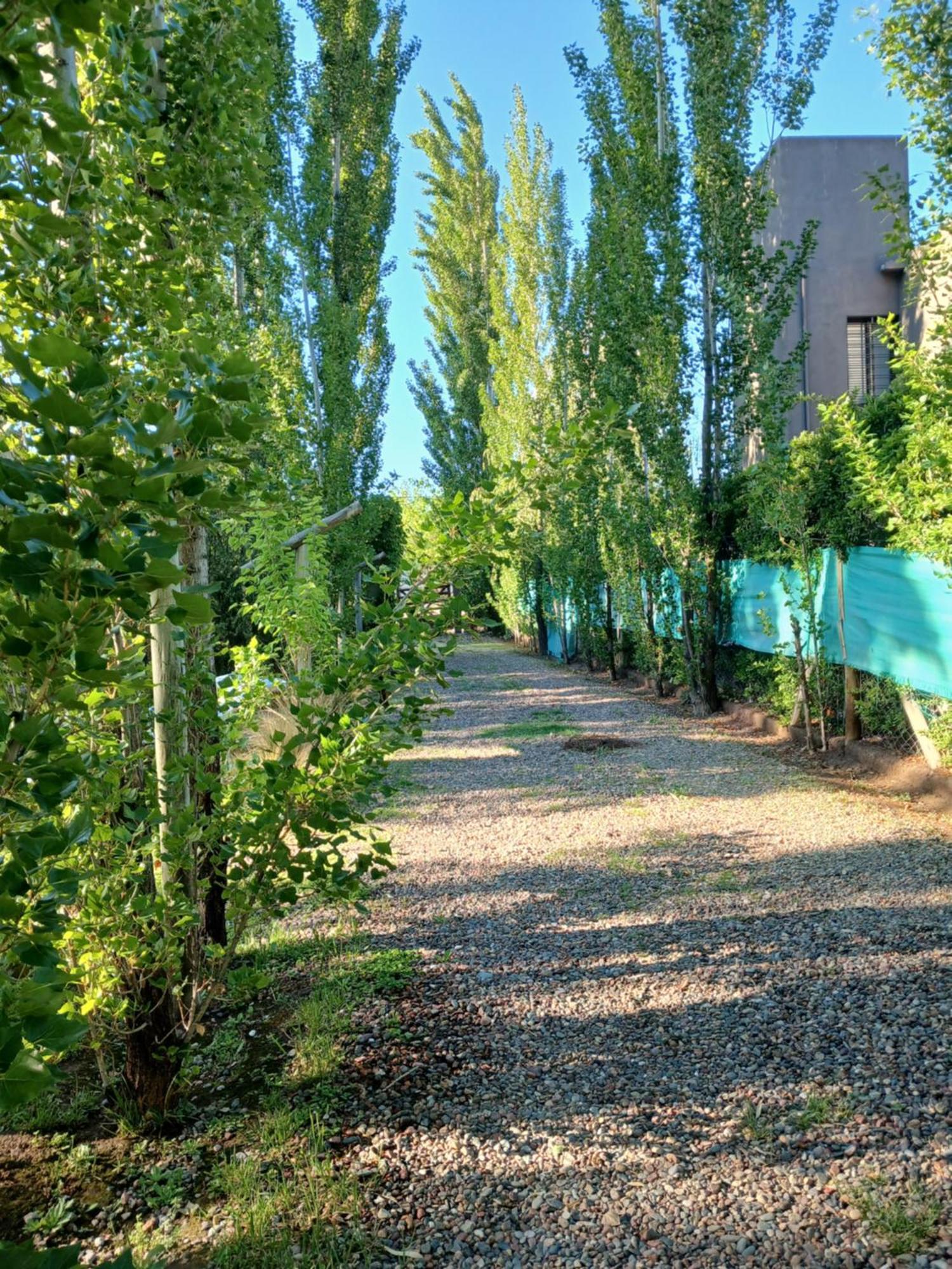 Entre Viñedos Vistalba Lujan De Cuyo Apartamento Chacras de Coria
