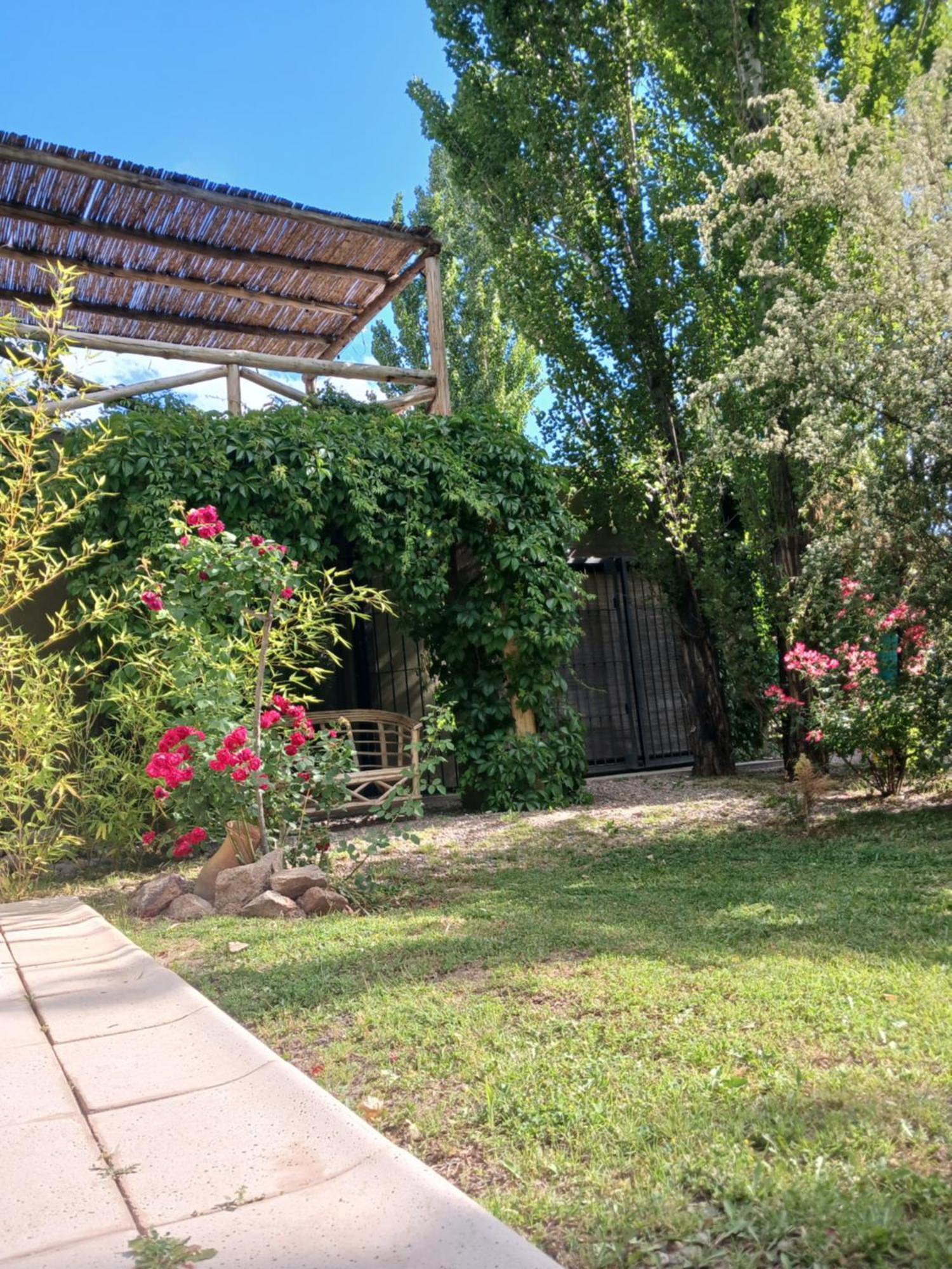 Apartamento Entre Viñedos Vistalba Lujan De Cuyo